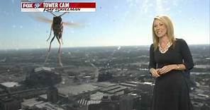 Bee 'attacks' Meteorologist Jennifer Ketchmark during weather forecast