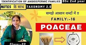 Poaceae or gramineae Family || Floral diagram and formulas || Taxonomy || Economic importance