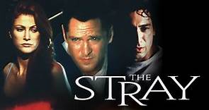 The Stray - Full Movie