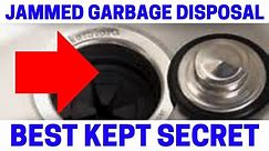 NEVER Fix A Jammed Garbage Disposal Until Watching This! Quick & Easy