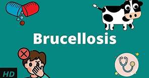Brucellosis, Causes, Signs and Symptoms, Diagnosis and Treatment.