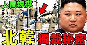 北韓最可怕的6個獨裁秘密！每一條都讓人毛骨悚然，旅遊愛好者千萬小心。|#世界之最top #世界之最 #出類拔萃 #腦洞大開 #top10 #北韓 #金正恩 #可怕秘密