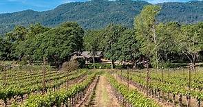 Exquisite Vineyard in Glen Ellen, California | Sotheby's International Realty
