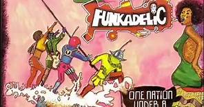 Funkadelic - Who Says a Funk Band Can't Play Rock?!