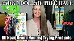 Large Dollar Tree Haul