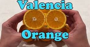 Valencia Orange | The Best Juicing Orange