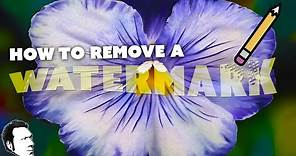 How to Remove a Watermark LIKE A JERK