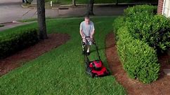 Electric mowers and lawn gear: should you buy?