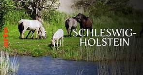 Schleswig-Holstein - Zwei Meere, ein Land