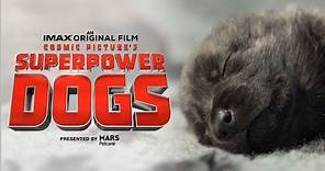 Superpower Dogs Official Trailer