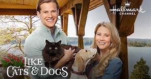 Preview - Like Cats & Dogs starring Cassidy Gifford and Wyatt Nash - Hallmark Channel