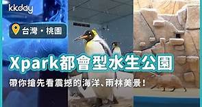 【台灣旅遊攻略】桃園Xpark登場！一次帶你看遍魚群漩渦、企鵝隧道、水豚餵食秀｜KKday