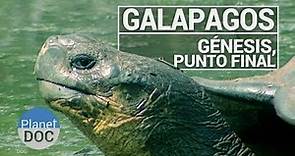 Galápagos. Génesis, Punto Final | Documental Completo - Planet Doc