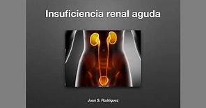 Insuficiencia renal aguda