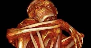 The Nazca Mummies--The Real Story
