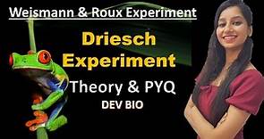 Driesch Experiment I Weismann & Roux Experiment I Theory & PYQ I Dev Bio I Autonomous & Conditional