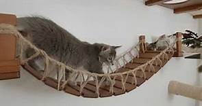 Our latest collection of cat wall furniture