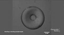 Understanding What’s Happening Inside Liquid Droplets