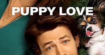 Puppy Love - película: Ver online completas en español