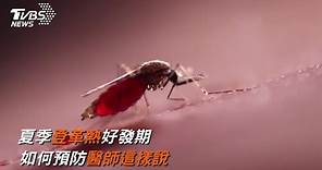 夏季登革熱好發期！防蚊液挑選醫師建議可從成分著手
