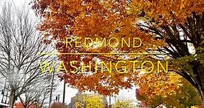 Redmond Washington | Living in Redmond / Seattle