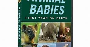 Animal Babies: First Year on Earth DVD