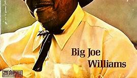 Big Joe Williams - Big Joe Williams