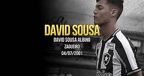 David Sousa - Botafogo 2020