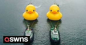 Giant yellow rubber ducks spotted in Hong Kong waters | SWNS