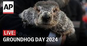 Groundhog Day 2024: Watch if Punxsutawney Phil sees his shadow