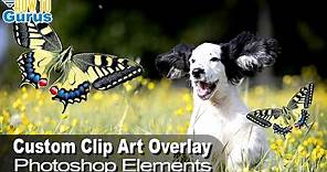 How You Can Make a Custom Clip Art Overlay from a Photo in Photoshop Elements