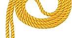 Tassel Depot Graduation Honor Cord - Gold - Every School Color Available - Made in USA