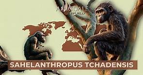 The Origins of Humanity: Sahelanthropus tchadensis
