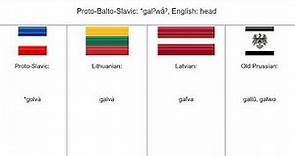 Baltic Languages (+Proto-Slavic) | Word Comparison