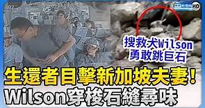 【0403地震DAY6】生還者目擊新加坡夫妻！搜救犬Wilson穿梭石縫尋味 勇敢跳巨石畫面曝 @ChinaTimes