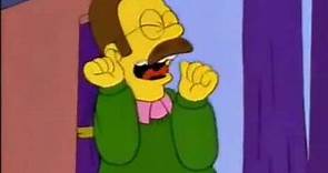 Grito Ned Flanders