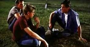 The Outsiders (1983) FULL MOVIE OnlinE HD