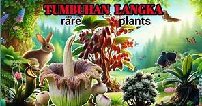 daftar tumbuhan langka di indonesia beserta mangfaatnya||Edukasi||Animasi.