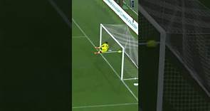 Antonio Candreva’s amazing goal against Inter 😱 #Shorts