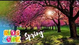 It's spring | What happens in spring season | Spring video for kids | Spring facts for kids