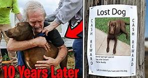 Top 5 LOST DOGS FOUND & REUNITED WITH THEIR OWNERS! Boy Finds Lost Dog After 10 Years, Happy Dog