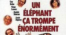 Un elefante se equivoca enormemente - Cine Canal Online