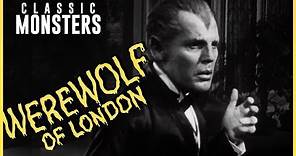 Werewolf of London (1935) Official Trailer | Classic Monsters