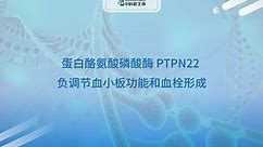 中科新生命-蛋白酪氨酸磷酸酶 PTPN22 负调节血小板功能和血栓形成