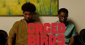Caged Birds - Trailer