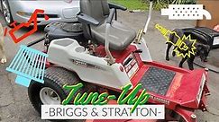 Briggs & Stratton V-Twin Oil Change & Tune Up