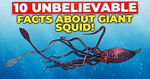 10 Unbelievable Facts about GIANT Squid!