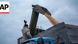 Ukraine shipping more grain through the Black Sea despite threat from Russia