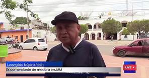 #CNM Persiste la explotación de madera en José María Morelos a pesar de regulaciones ambientales