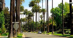 Información general sobre Los Ángeles: Antes de viajar